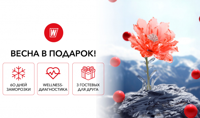 Весна в подарок 2025